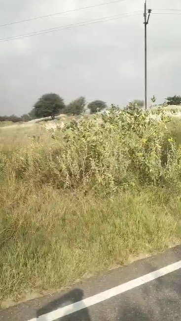8G89+WVJ, Jhunjhunu, Khudania, Rajasthan, India