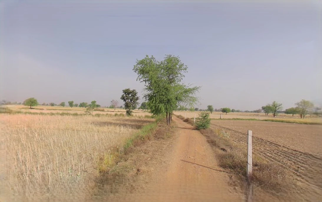 Barnagar, Madhya Pradesh 456771, India