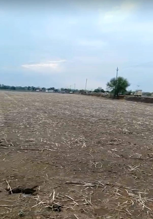 JHG2+WQ3, Dam Kheda, Madhya Pradesh, India