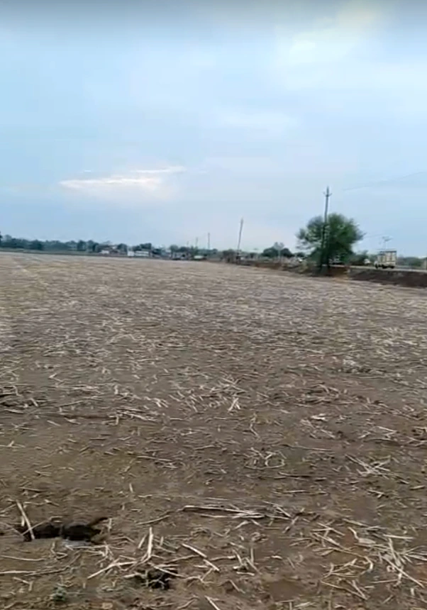 JHG2+WQ3, Dam Kheda, Madhya Pradesh, India