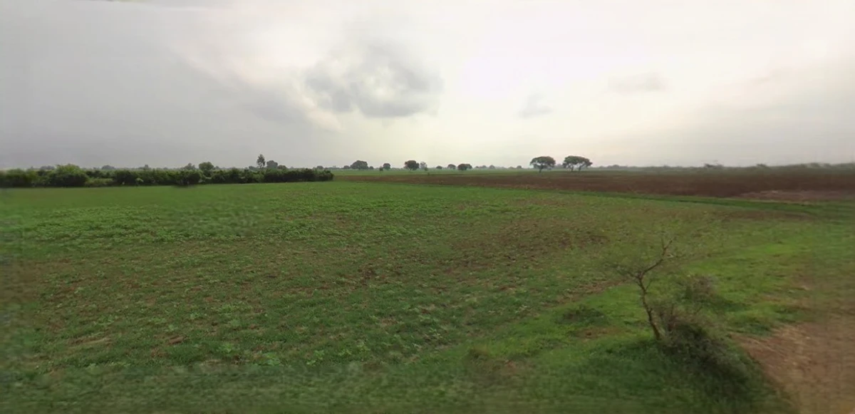 Sampla, Haryana 124501, India