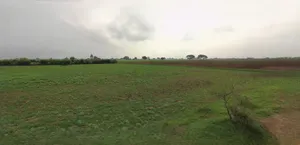 Sampla, Haryana 124501, India preview 3