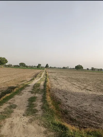 Salarpura, Haryana 132023, India preview 3