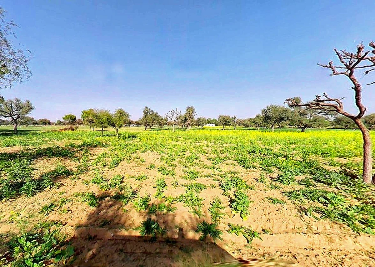 Khatu Shyam Ji Temple, Rajasthan 332404, India