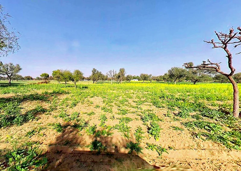 Khatu Shyam Ji Temple, Rajasthan 332404, India preview 2
