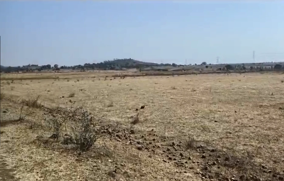 2VVM+XR6, Dindori, Singarpur Mal., Madhya Pradesh 481879, India