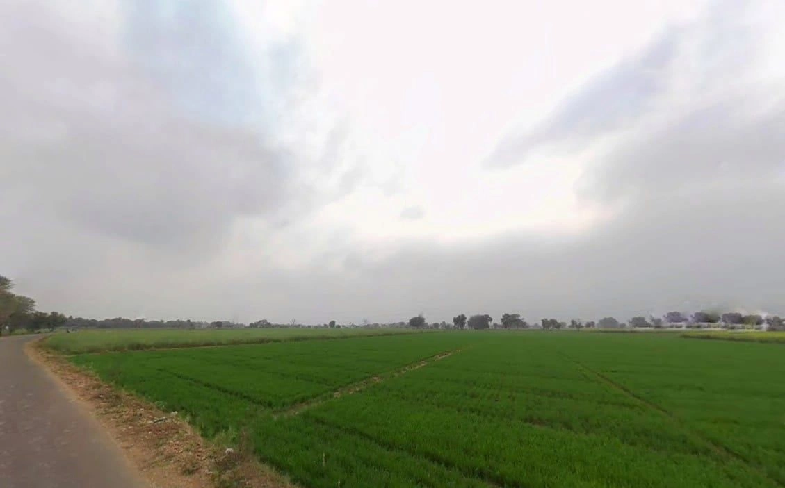 JJMV+PM7, Jahar Khera, Rajasthan 301028, India