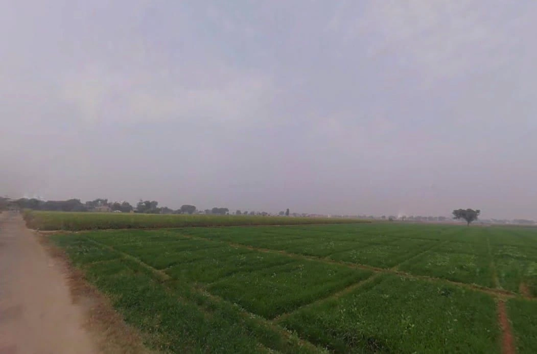 Jahar Khera, Rajasthan, India