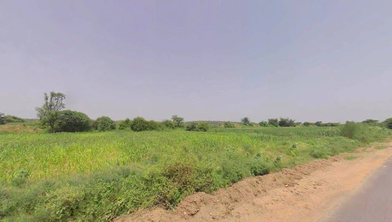 Chhichharwari, Rajasthan 321022, India