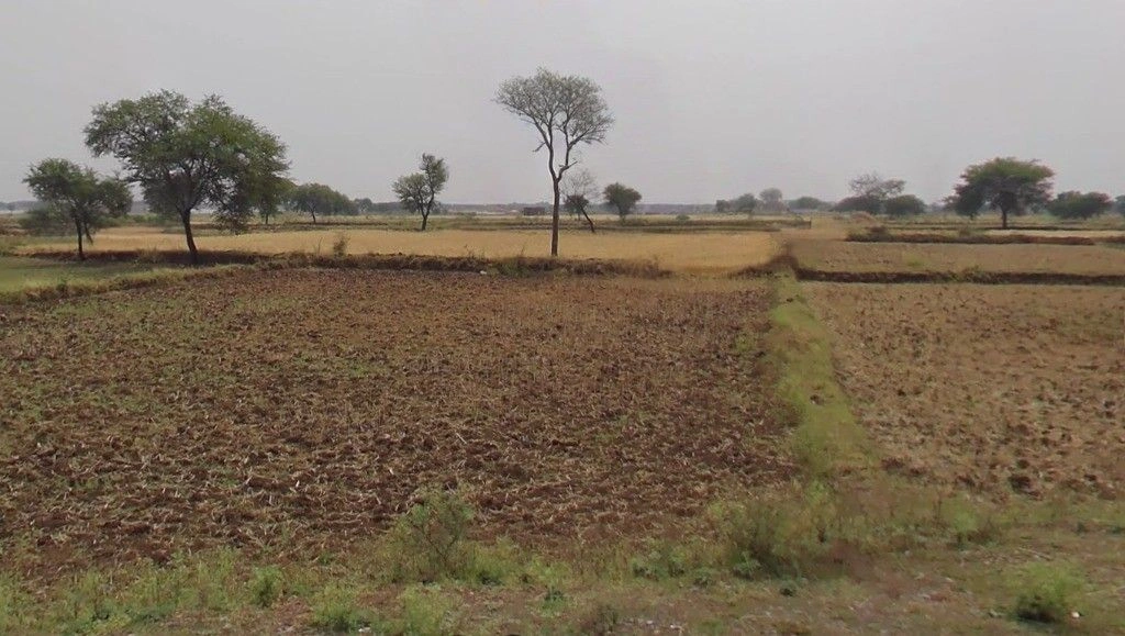 Gadamore, Chhattisgarh 491337, India preview 3