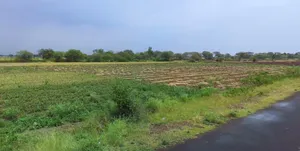 Harda, Madhya Pradesh 461331, India preview 3