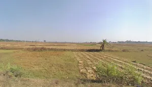 Sinduria, West Bengal 721501, India preview 3