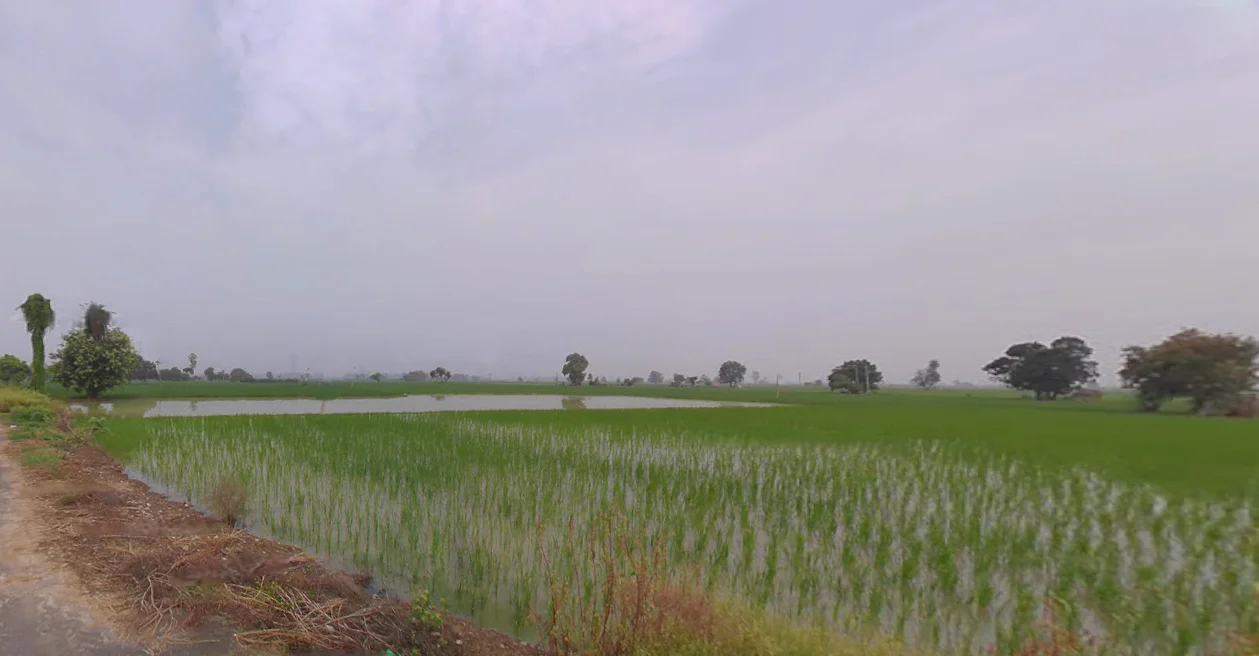 Gharaunda, Haryana 132114, India preview 3