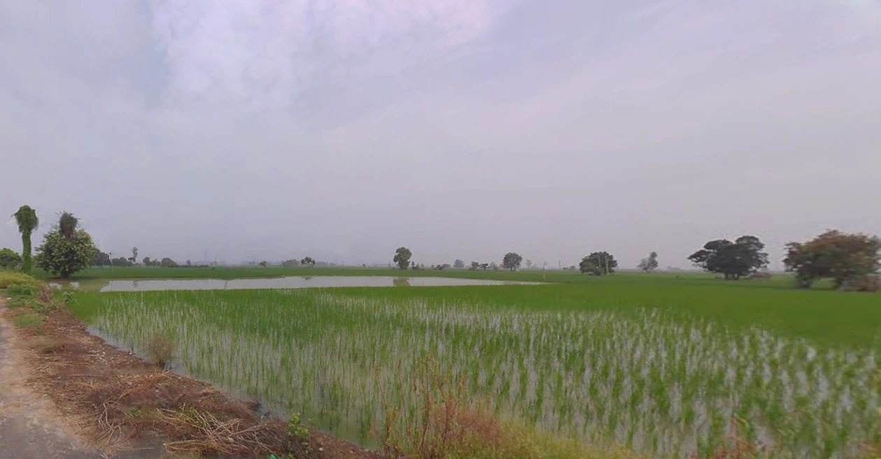 Gharaunda, Haryana 132114, India