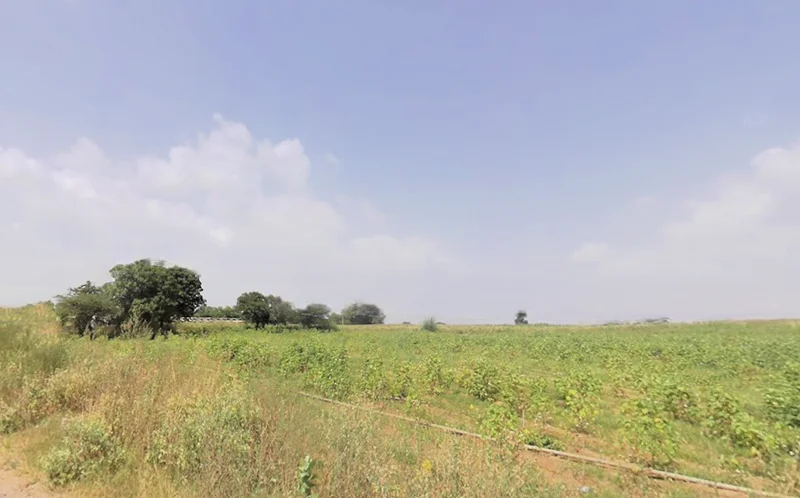 Kheri Bura, Haryana 127306, India preview 3