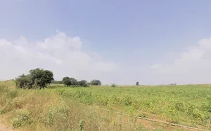 Kheri Bura, Haryana 127306, India preview 3