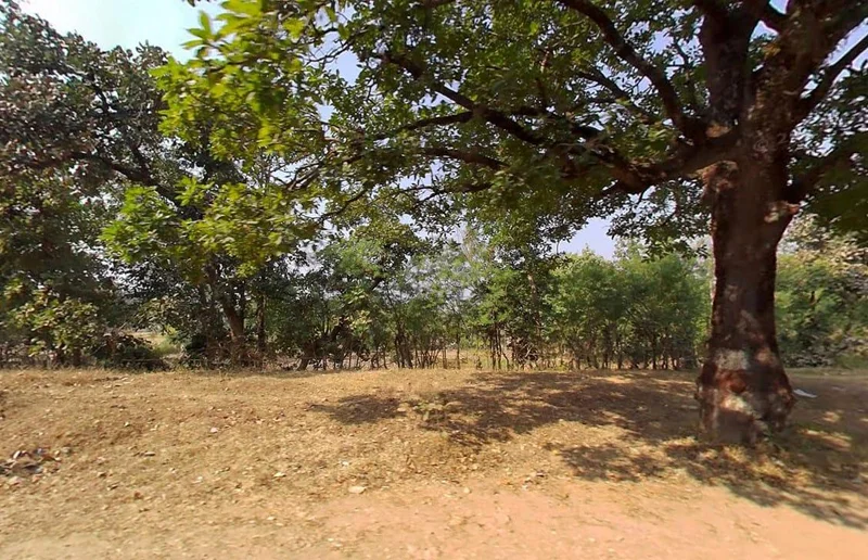 QV5M+CP Gaurella, Chhattisgarh, India preview 2