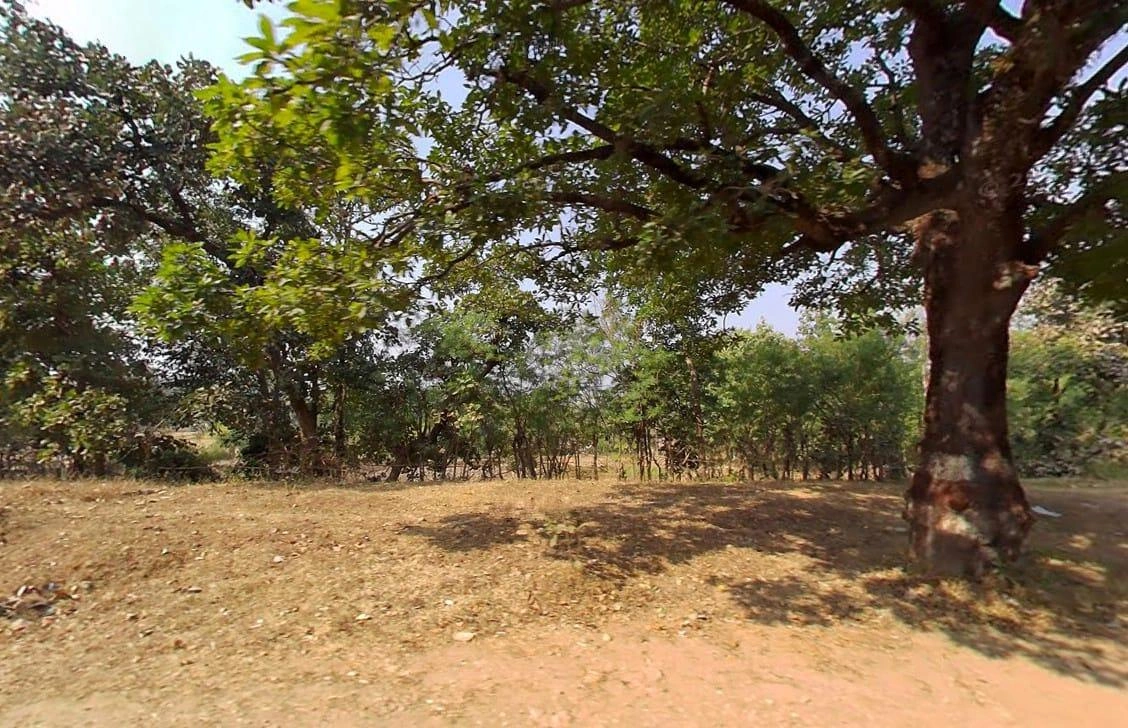 QV5M+CP Gaurella, Chhattisgarh, India