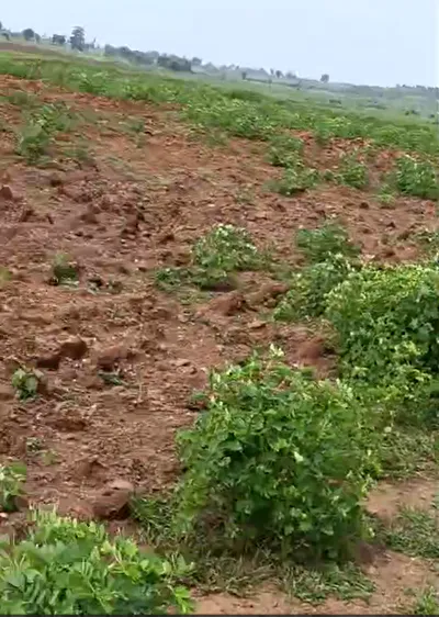5353+CQ8, Harda, Sirali, Madhya Pradesh 461335, India preview 3