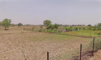 Bilaspur Rd, Sankara, Chhattisgarh, India preview 2