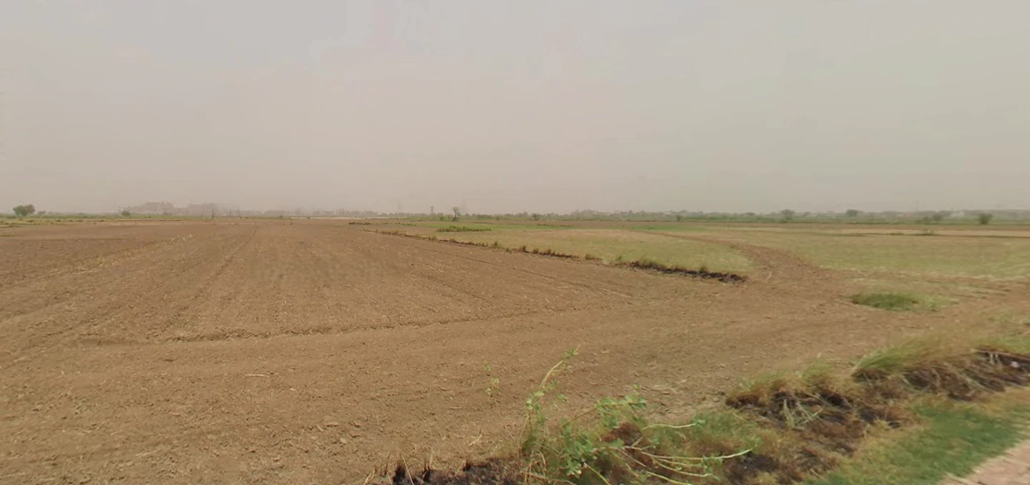 Mainawali, Rajasthan 335524, India