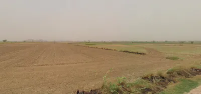 Mainawali, Rajasthan 335524, India preview 3