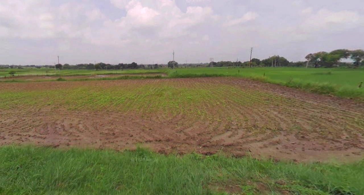 Haridwar, Uttarakhand, India