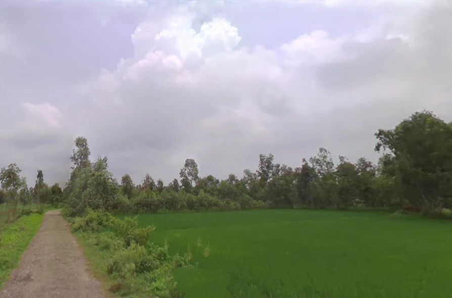 8M4M+HC Rashulpur Bahanpur, Uttar Pradesh, India