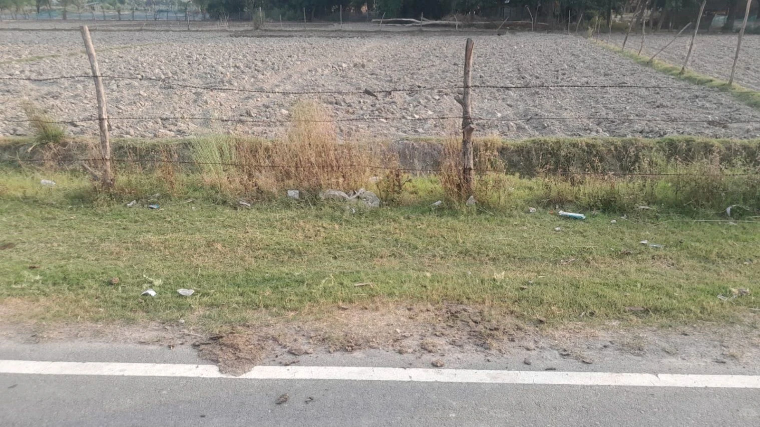 P44V+XX Madhopur, Uttar Pradesh, India