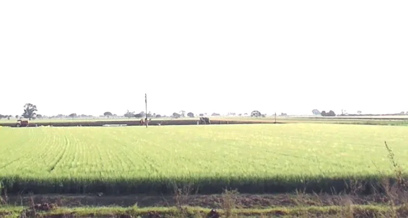 Badkhera, Madhya Pradesh 483501, India preview 2