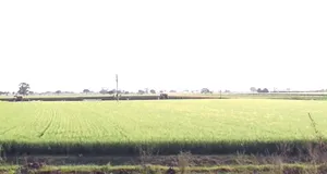 Badkhera, Madhya Pradesh 483501, India preview 2