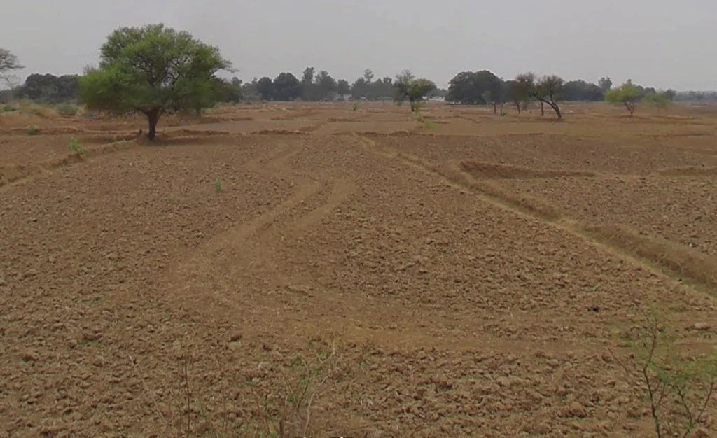 Marwahi, Chhattisgarh 495118, India