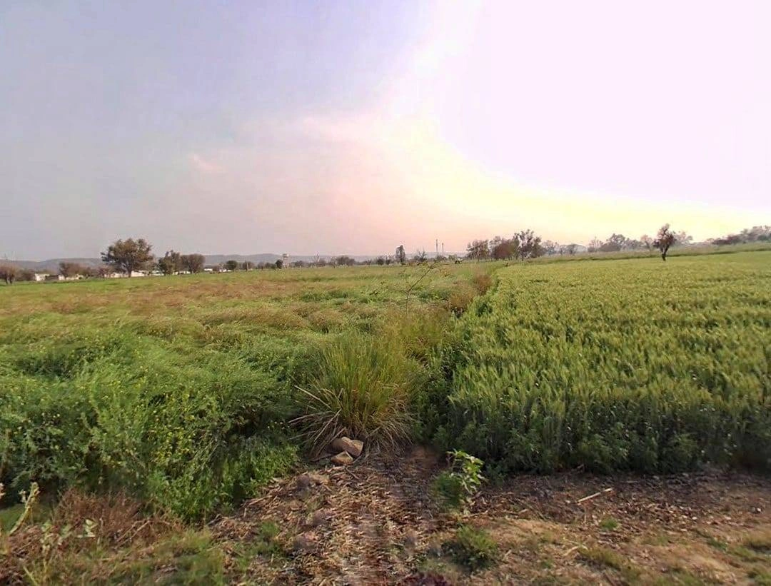 CQRQ+89Q, Pali, Rajasthan 301001, India