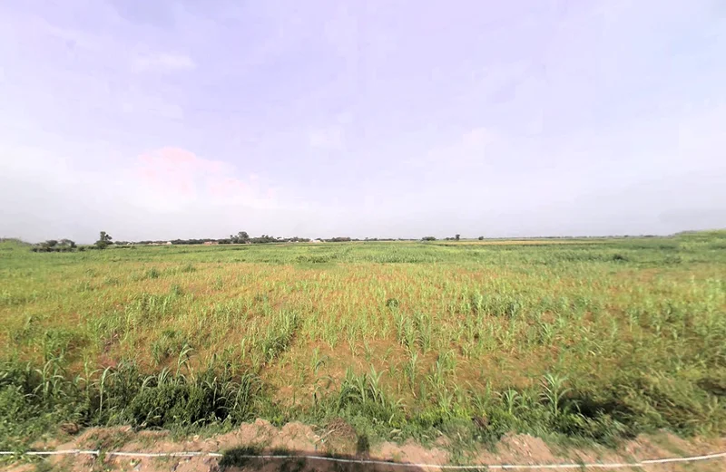 Khori, Haryana 123101, India preview 3