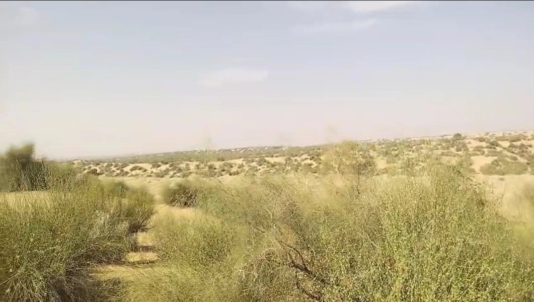 GJX8+RMP, Shekhon Ka Tala, Rajasthan 345028, India