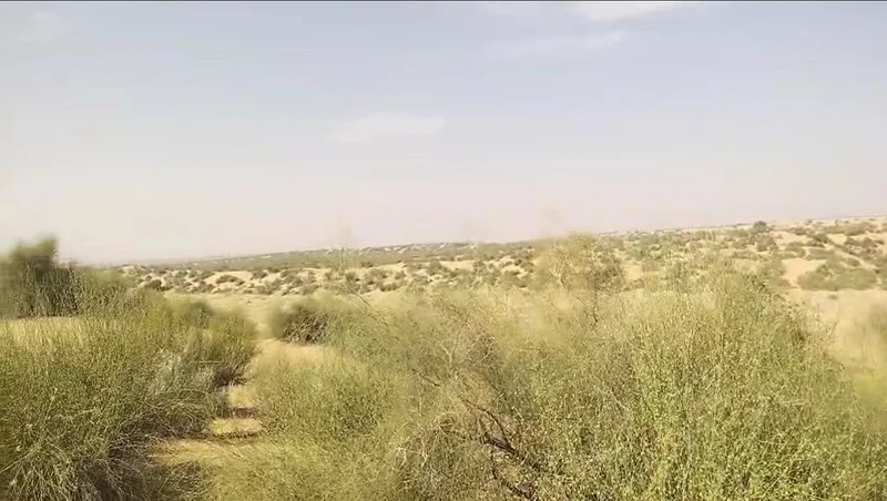 GJX8+RMP, Shekhon Ka Tala, Rajasthan 345028, India preview 2