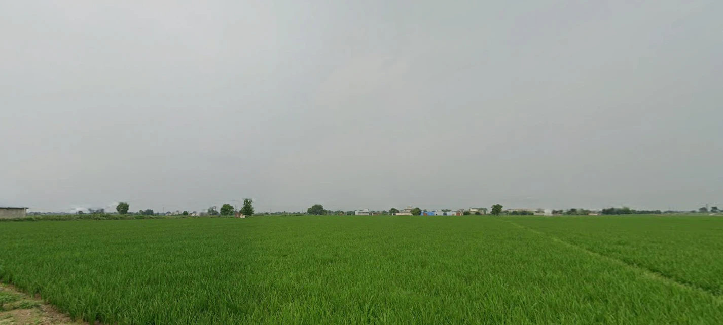 Loharka, Punjab 143101, India