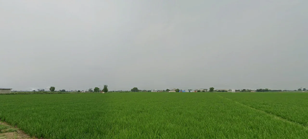 Loharka, Punjab 143101, India preview 3