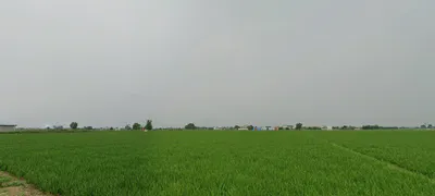 Loharka, Punjab 143101, India preview 3