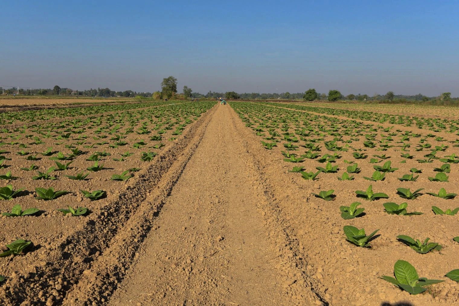 VQPX+VM6, Beechpuri, Rajasthan, India