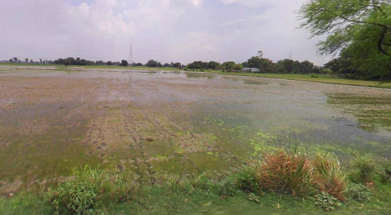 Sonipat, Haryana, India