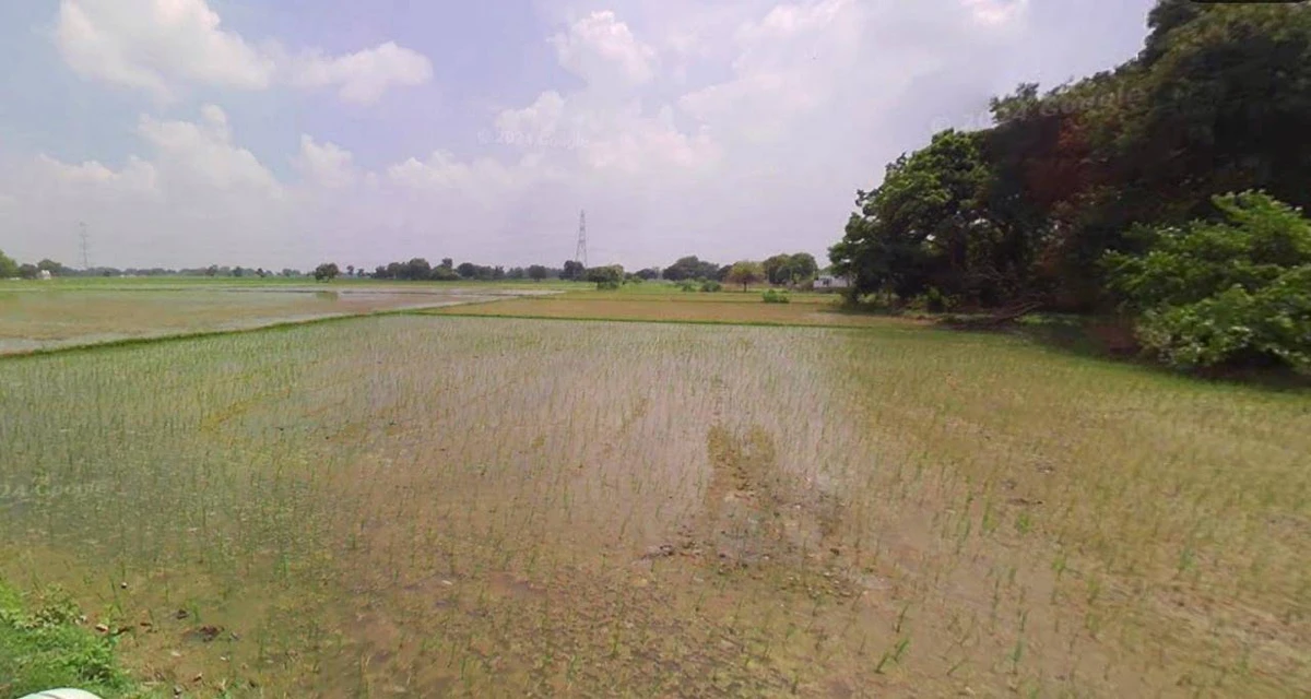 Bijnor, Uttar Pradesh 246701, India