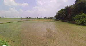 Bijnor, Uttar Pradesh 246701, India preview 3