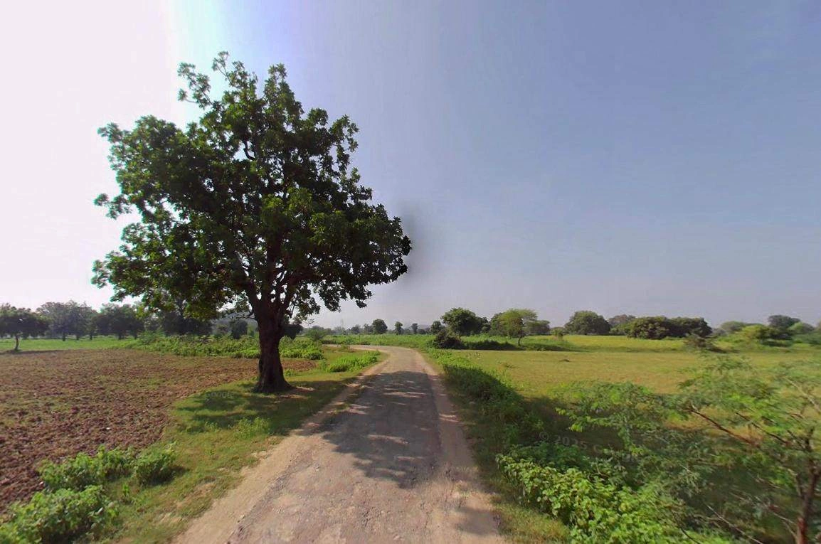 Biswan, Uttar Pradesh 261201, India