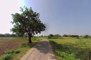 Biswan, Uttar Pradesh 261201, India preview 2