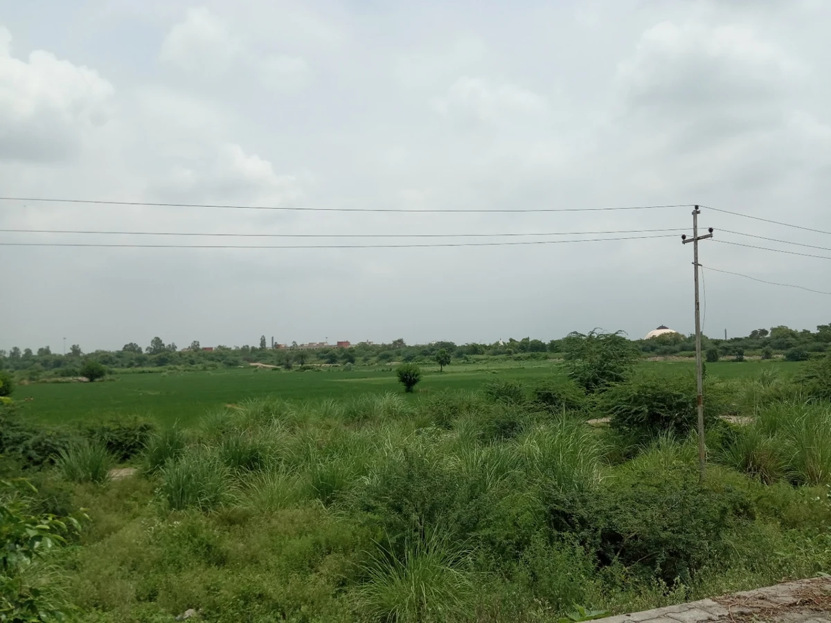 Morta, Uttar Pradesh 201003, India
