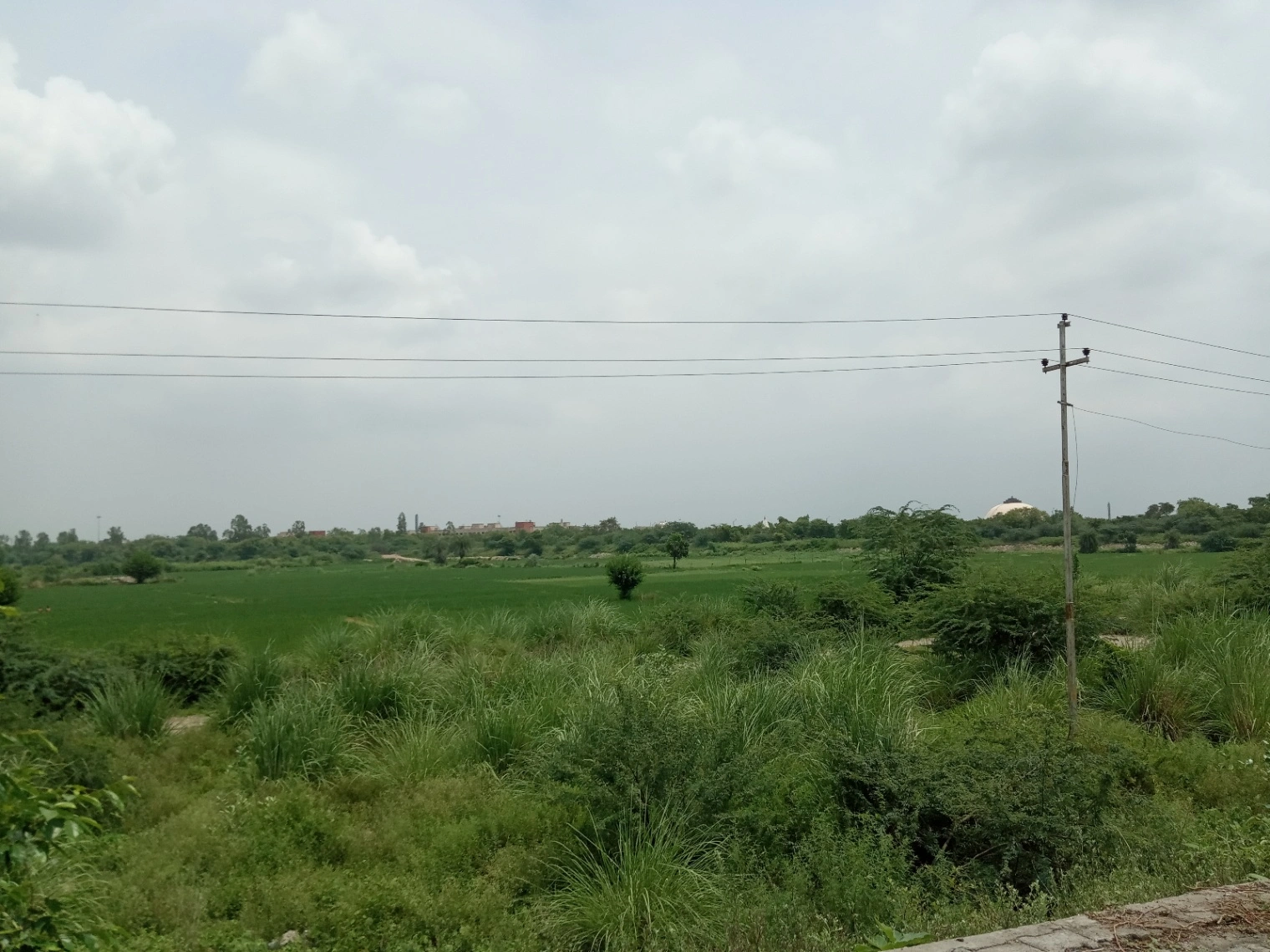 Morta, Uttar Pradesh 201003, India