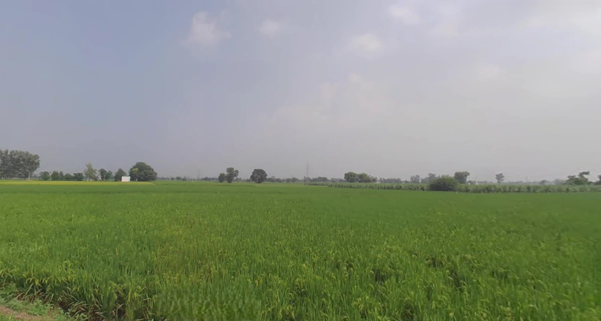 Sapror, Punjab, India