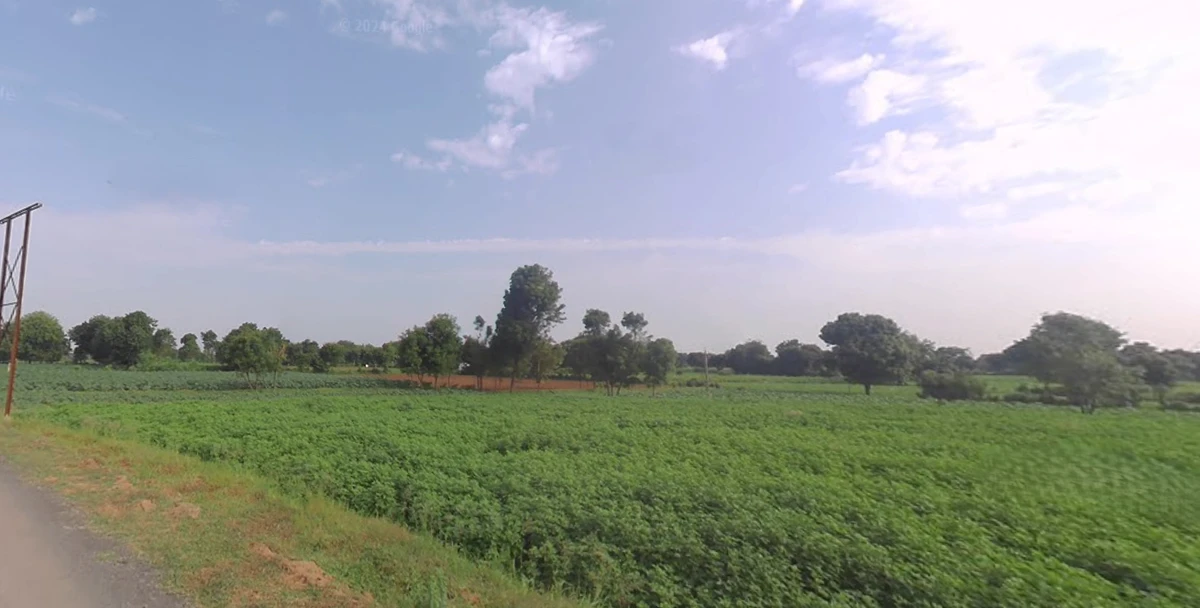 9R5C+RM Sonoli, Maharashtra, India