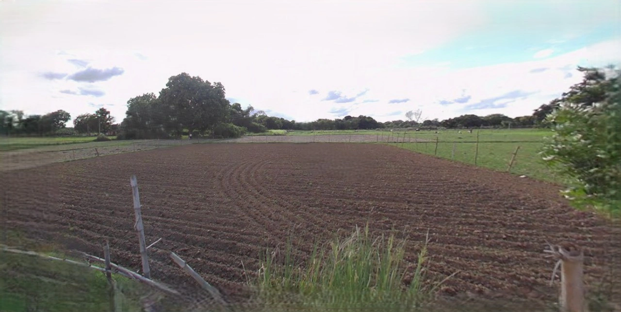 Barnagar, Madhya Pradesh 456771, India